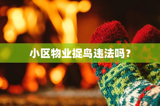 小区物业捉鸟违法吗？