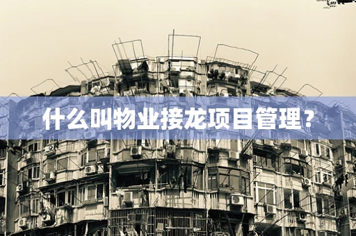 什么叫物业接龙项目管理？