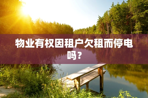 物业有权因租户欠租而停电吗？