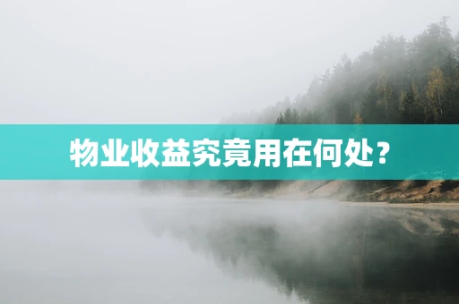 物业收益究竟用在何处？