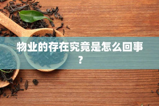 物业的存在究竟是怎么回事？