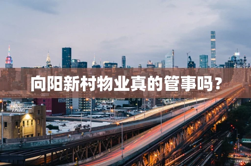 向阳新村物业真的管事吗？
