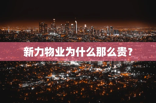 新力物业为什么那么贵？
