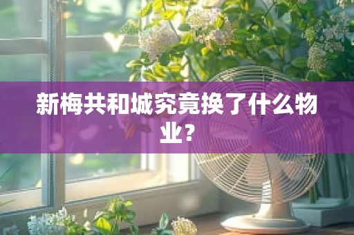 新梅共和城究竟换了什么物业？