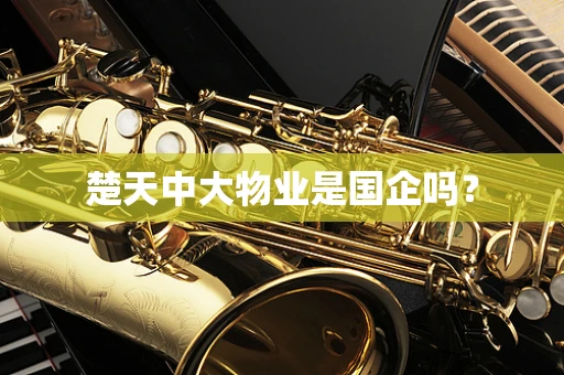 楚天中大物业是国企吗？