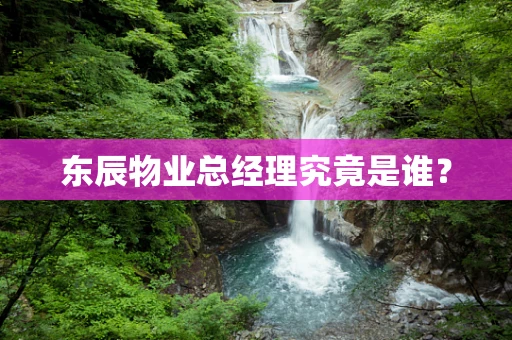 东辰物业总经理究竟是谁？