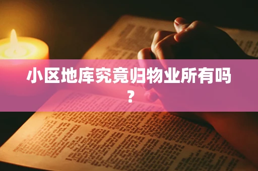 小区地库究竟归物业所有吗？