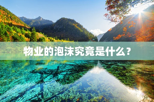 物业的泡沫究竟是什么？