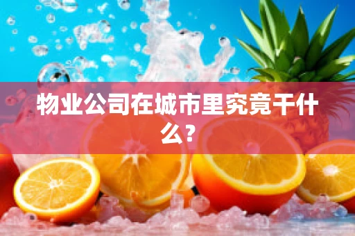 物业公司在城市里究竟干什么？