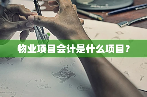 物业项目会计是什么项目？