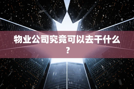 物业公司究竟可以去干什么？