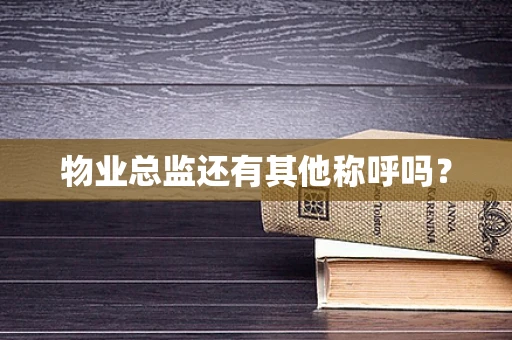 物业总监还有其他称呼吗？