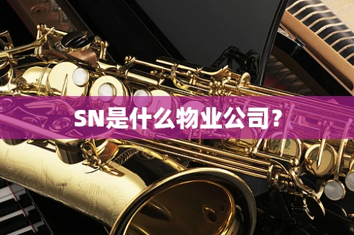 SN是什么物业公司？