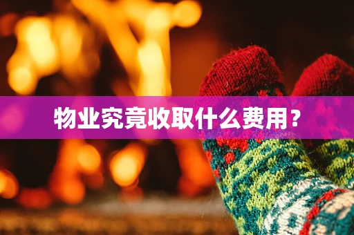 物业究竟收取什么费用？
