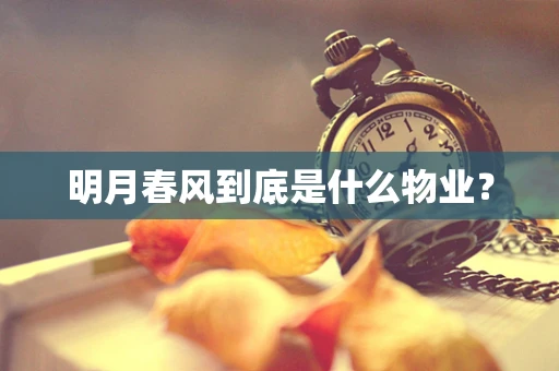 明月春风到底是什么物业？