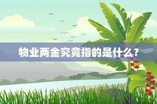 物业两金究竟指的是什么？