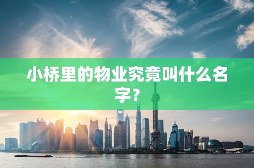 小桥里的物业究竟叫什么名字？