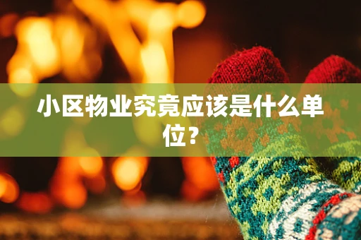 小区物业究竟应该是什么单位？