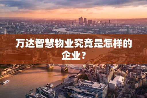 万达智慧物业究竟是怎样的企业？