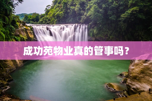 成功苑物业真的管事吗？