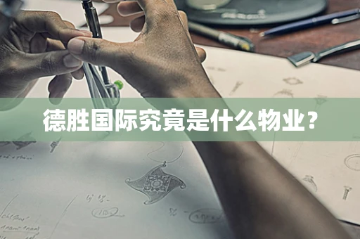 德胜国际究竟是什么物业？