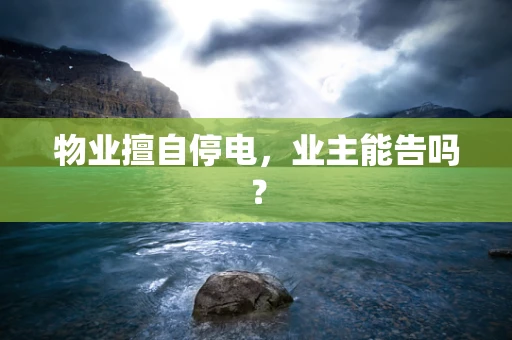 物业擅自停电，业主能告吗？