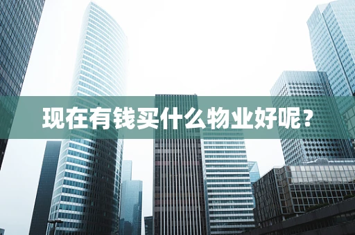 现在有钱买什么物业好呢？