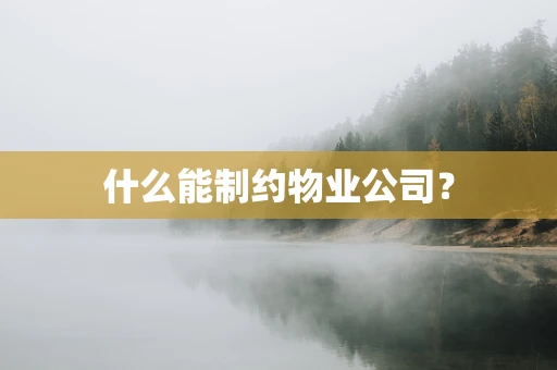 什么能制约物业公司？