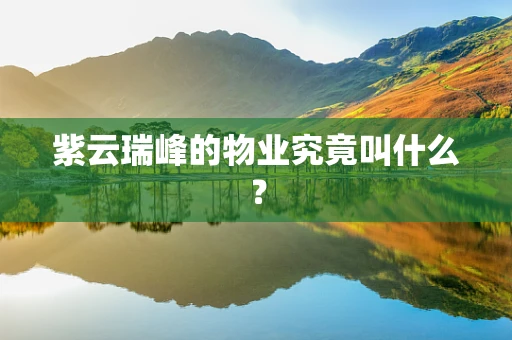 紫云瑞峰的物业究竟叫什么？