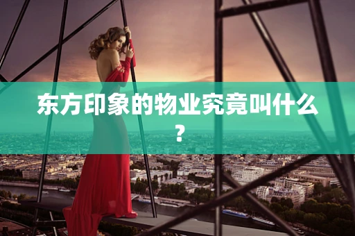 东方印象的物业究竟叫什么？