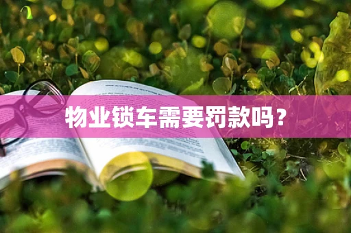 物业锁车需要罚款吗？