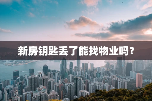 新房钥匙丢了能找物业吗？