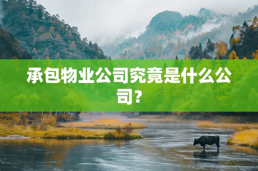 承包物业公司究竟是什么公司？