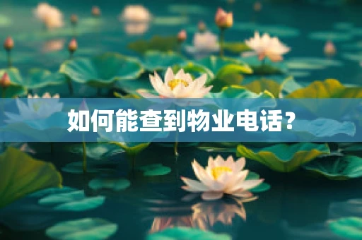 如何能查到物业电话？