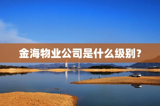 金海物业公司是什么级别？