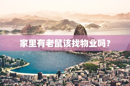 家里有老鼠该找物业吗？