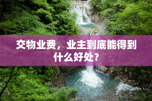 交物业费，业主到底能得到什么好处？