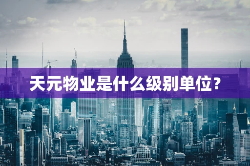 天元物业是什么级别单位？