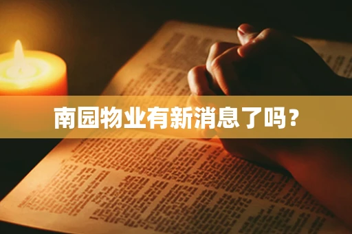 南园物业有新消息了吗？