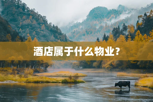 酒店属于什么物业？