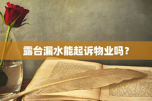 露台漏水能起诉物业吗？