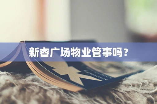 新睿广场物业管事吗？