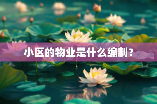 小区的物业是什么编制？