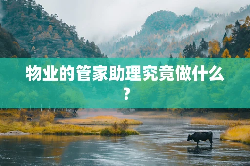 物业的管家助理究竟做什么？