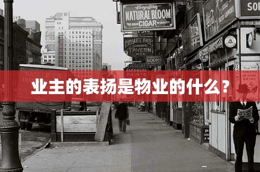 业主的表扬是物业的什么？