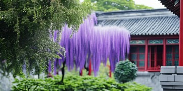 西安紫薇物业是国企吗？