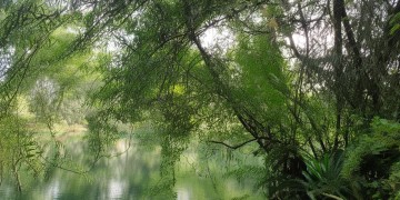 娄江新村有物业吗？