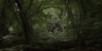 合肥装修时物业要交房吗？
