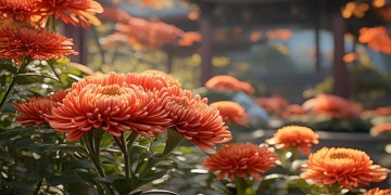 菊园是由什么物业单位管理？