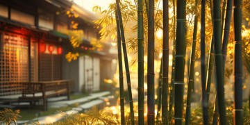金竹广场物业收费吗？